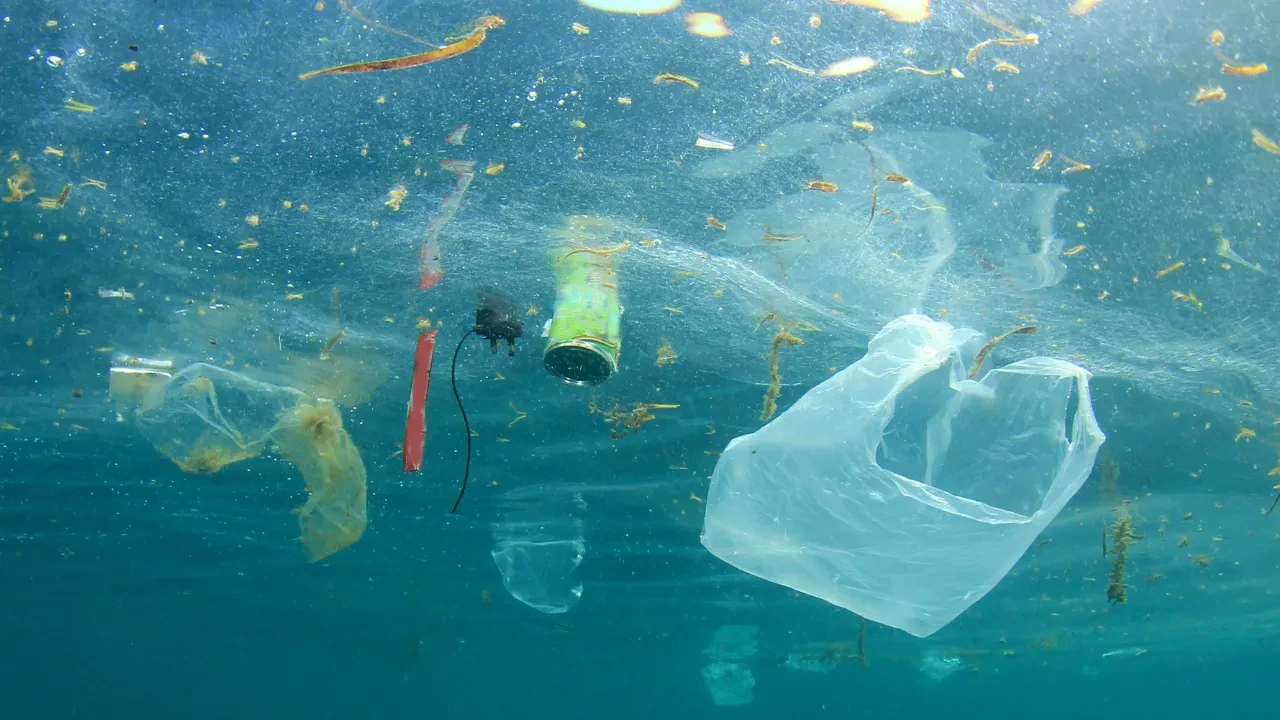 Denizler için kritik hamle: Sıfır Atık Vakfı, 4 ilde plastik kirliliğinin kaynağını arayacak