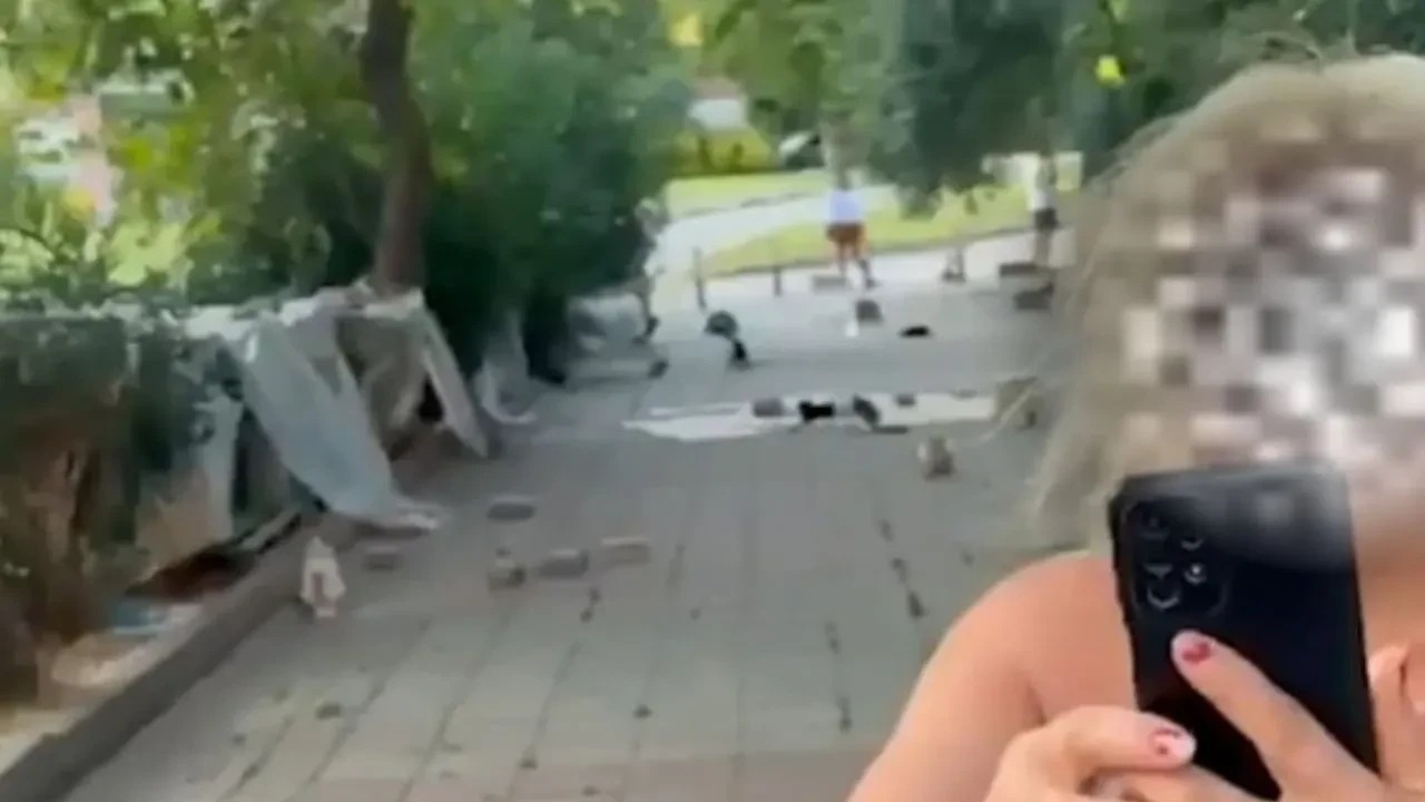 Kedi besleme tartışması kavgaya döndü! Yolu kapayan kadın psikiyatri kliniğine yönlendirildi