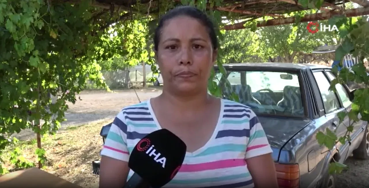 "Abonelik işlemi" dediler, ev ve araziyi aldılar: Aile komşunun bahçesindeki konteynere sığındı