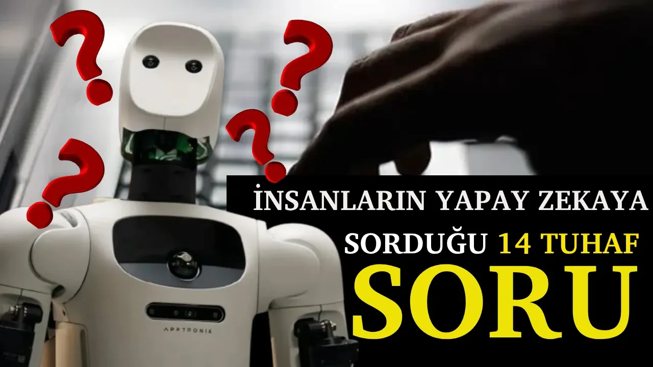 İnsanların yapay zekaya sorduğu en tuhaf 14 soru! Bunu neden sordunuz? dedirten sorular...