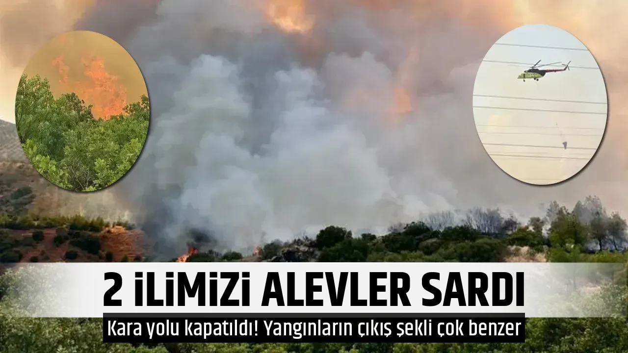 2 İLİMİZİ ALEVLER SARDI
