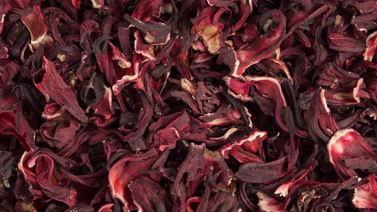 Hibiskus ile göbek şişkinliği anında gidiyor! Hem lezzetli hem sağlıklı