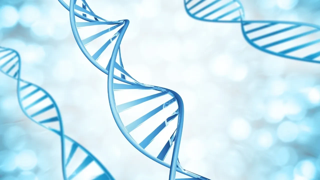 Somon DNA işlemi nedir? Somon DNA serumları ne işe yarar?