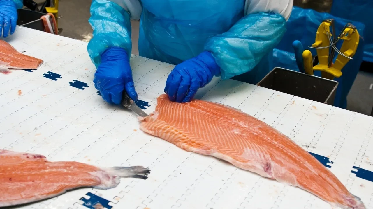 Somon DNA işlemi nedir? Somon DNA serumları ne işe yarar?