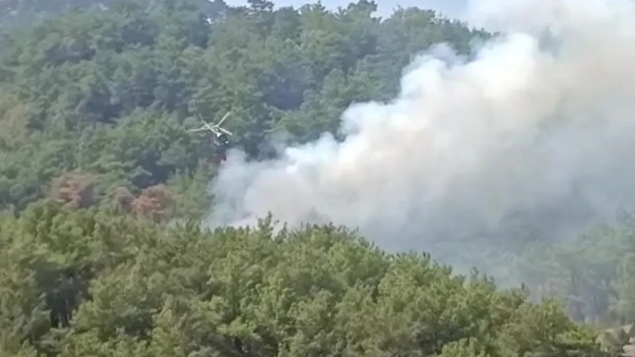 Adana Kozan'da ormanlık alanda yeniden yangın çıktı 