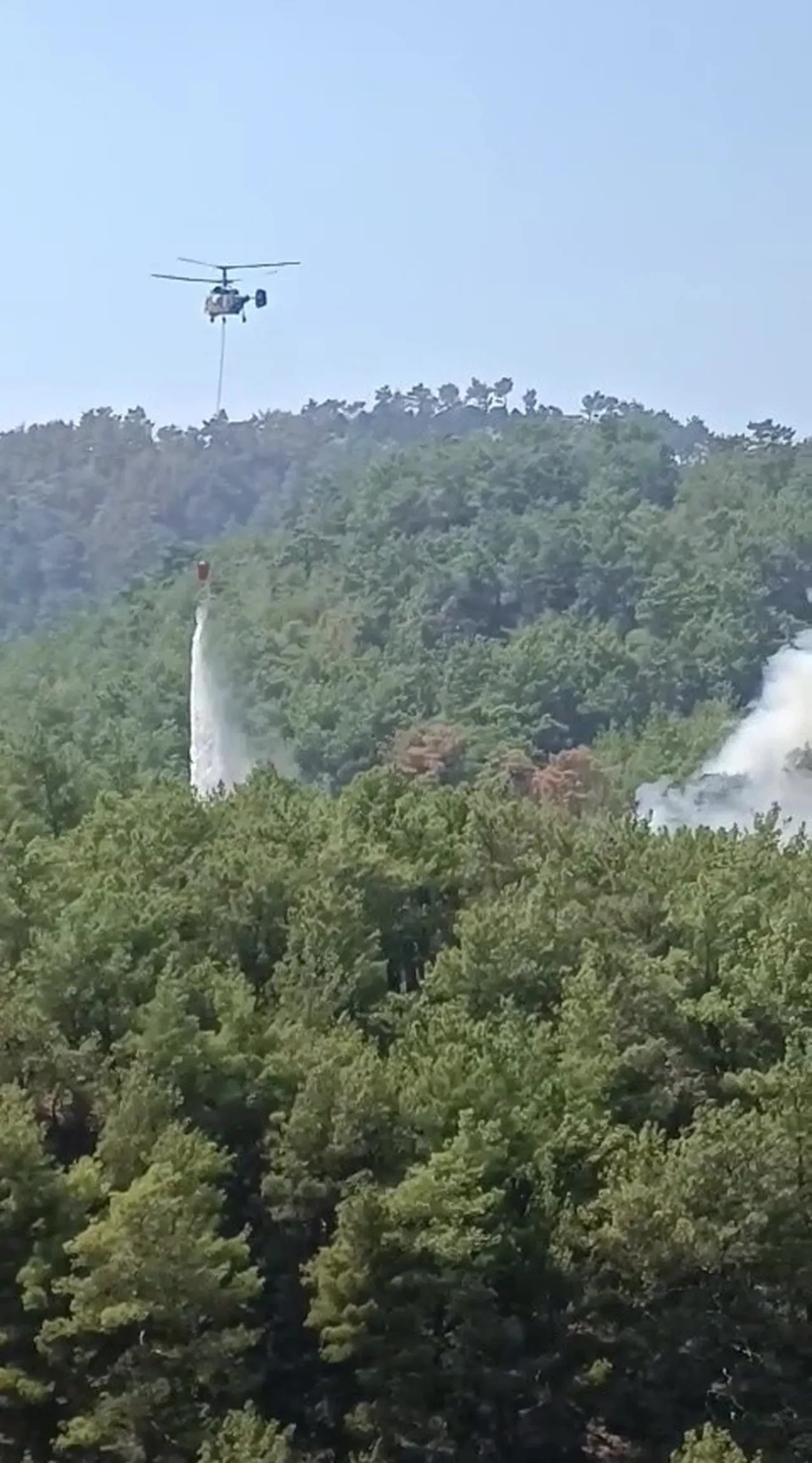 Adana Kozan'da ormanlık alanda yeniden yangın çıktı