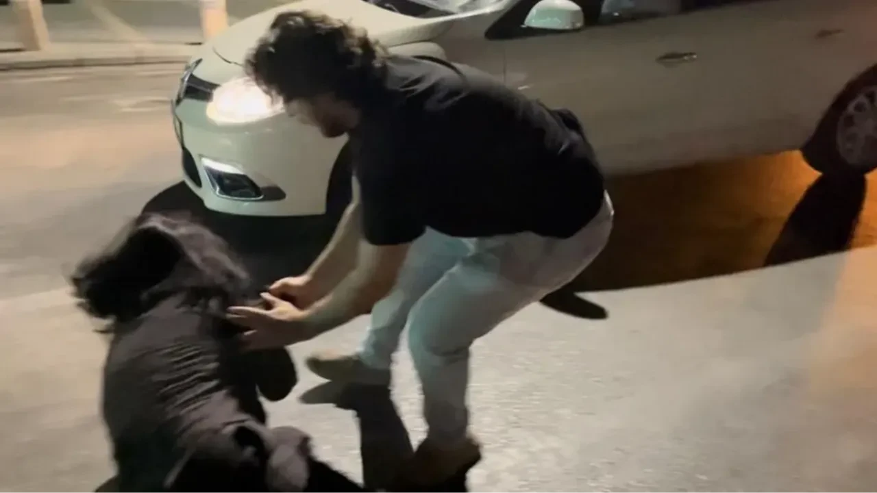 Polise direnen, gazeteciye tüküren alkollü kadın tutuklandı
