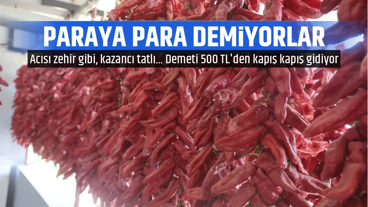 PARAYA PARA DEMİYORLAR 