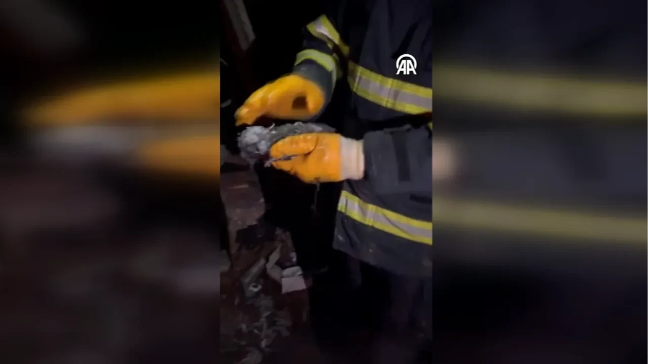 Bolu’da duygulandıran anlar: Yangında mahsur kalan kedi itfaiye tarafından kurtarıldı