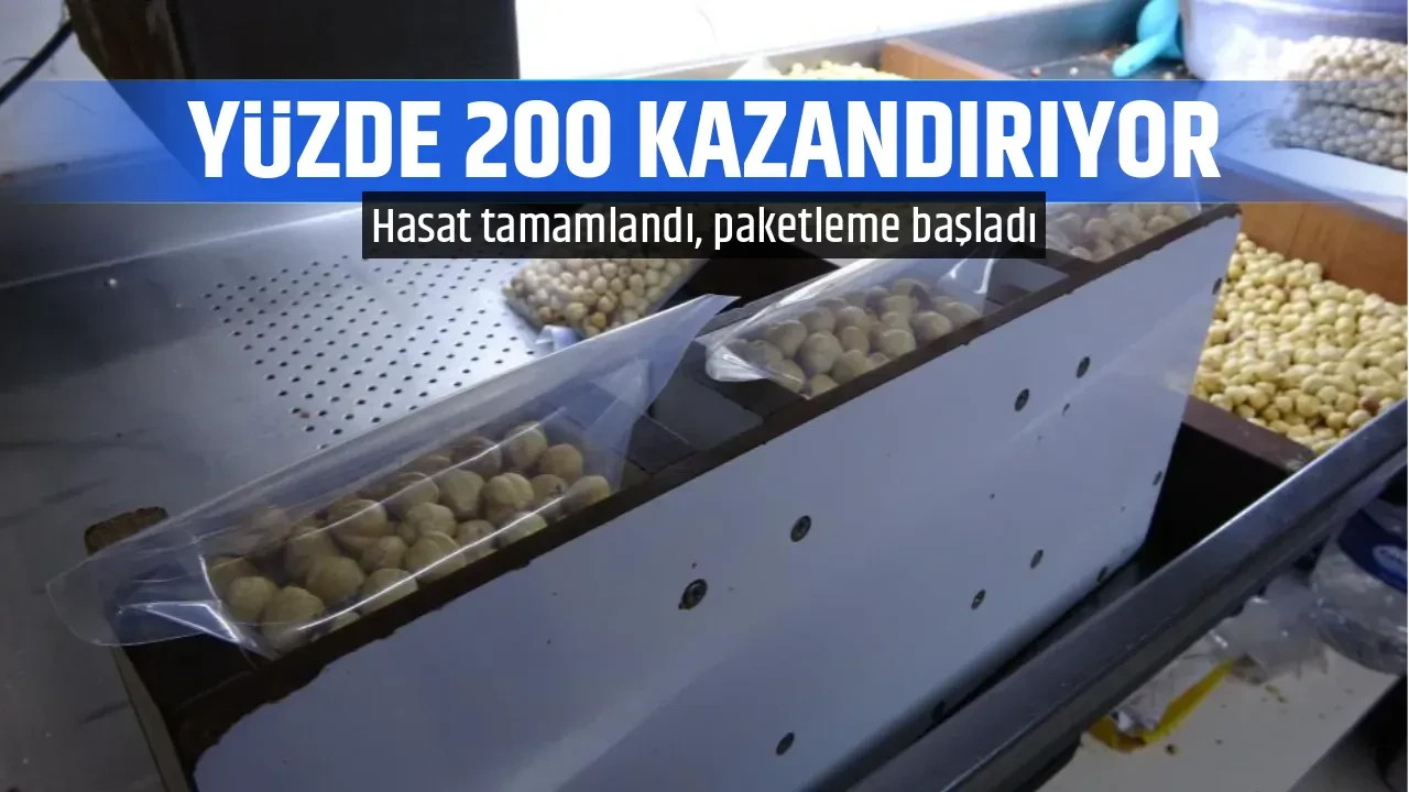 YÜZDE 200 KAZANDIRIYOR 