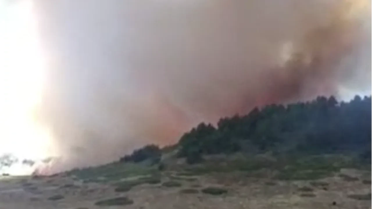 Kızılcahamam'daki ormanlık alanda yangın çıktı: Ekipler müdahaleye başladı