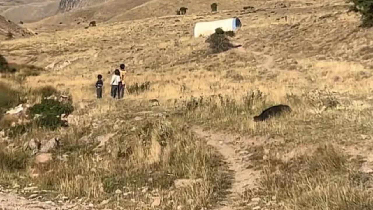 Sivas Divriği yaylasında çadırda kaybolan 11 aylık Büşra bebeğin kanlı elbiseleri bulundu