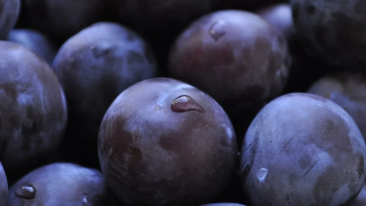 Damson eriği nedir, ne işe yarar? Meşhur damson eriği nerede bulunur?