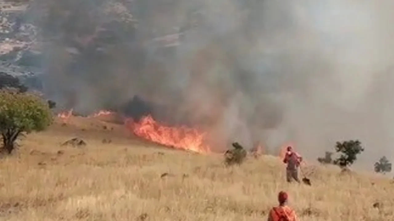 Tunceli'de orman yangını! Alevlere havadan ve karadan müdahale sürüyor