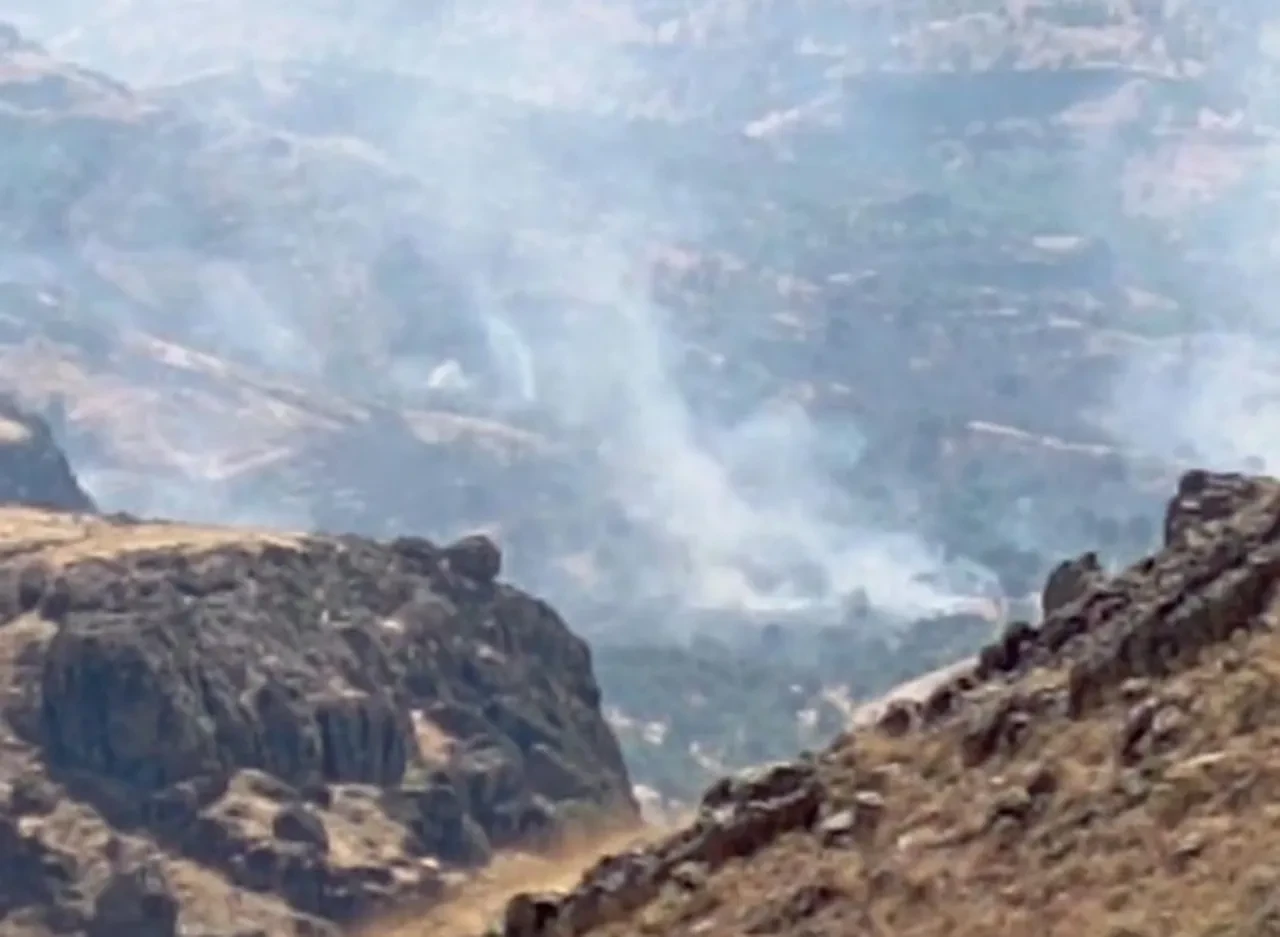 Tunceli'de orman yangını! Alevlere havadan ve karadan müdahale sürüyor