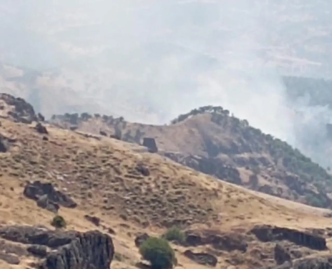 Tunceli'de orman yangını! Alevlere havadan ve karadan müdahale sürüyor