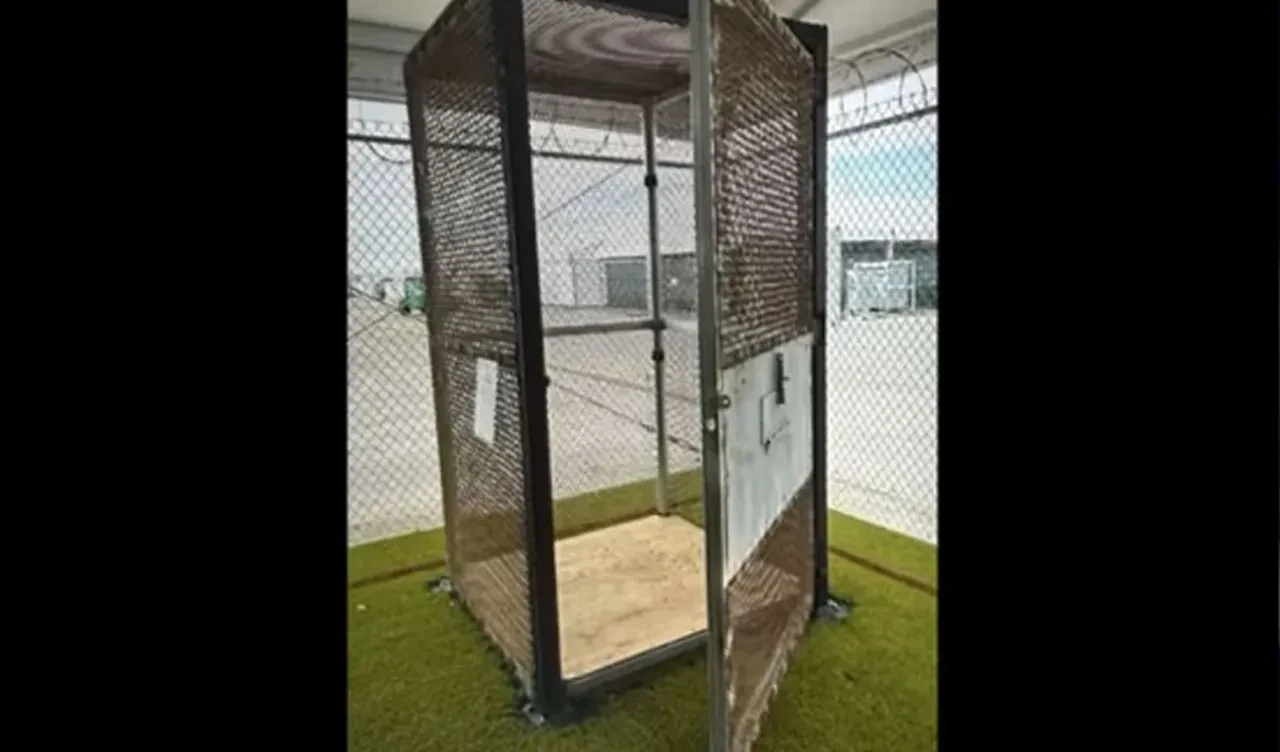 Çevresi vahşi hayvanlarla dolu Timsah Alcatraz'ın yeni 'disiplin aracı' küçük metal kafes