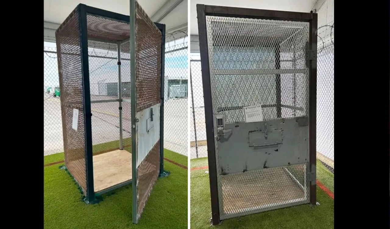 Çevresi vahşi hayvanlarla dolu Timsah Alcatraz'ın yeni 'disiplin aracı' küçük metal kafes