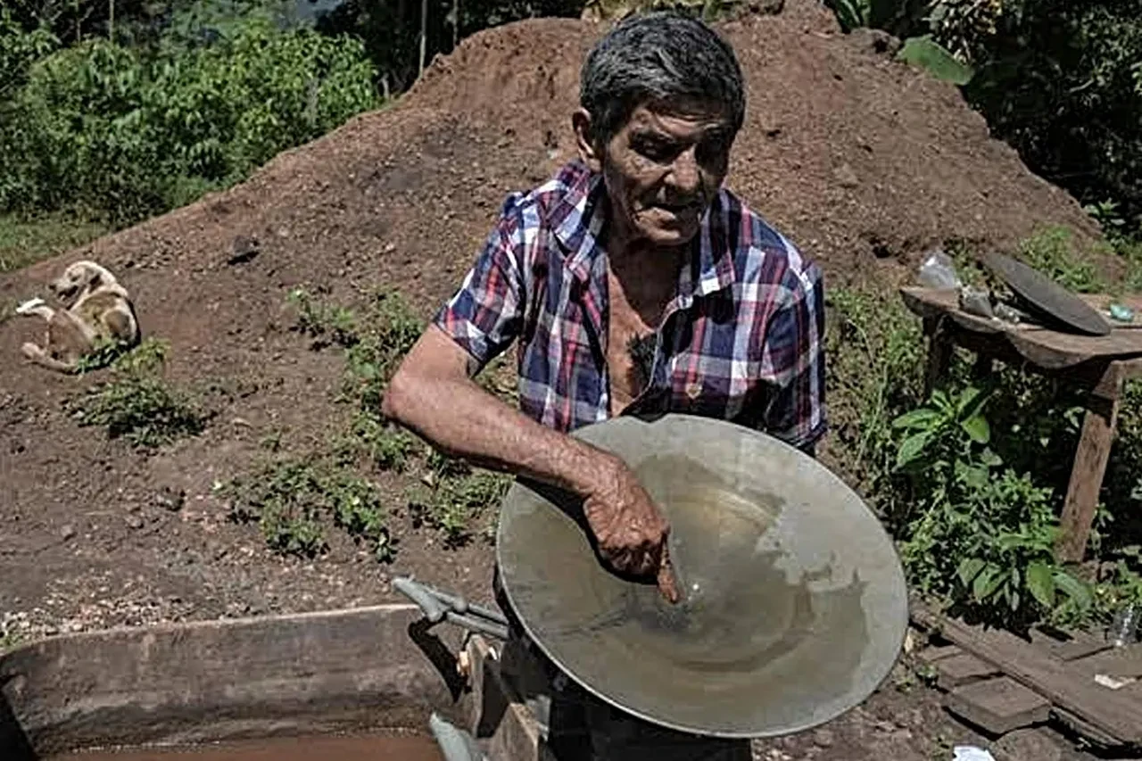 700 kiloluk altın buldu! Serveti eridi, derme çatma kulübeye geri döndü