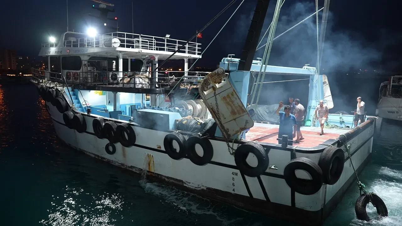 Akdeniz'de av yasağı sona erdi: Balıkçılar 