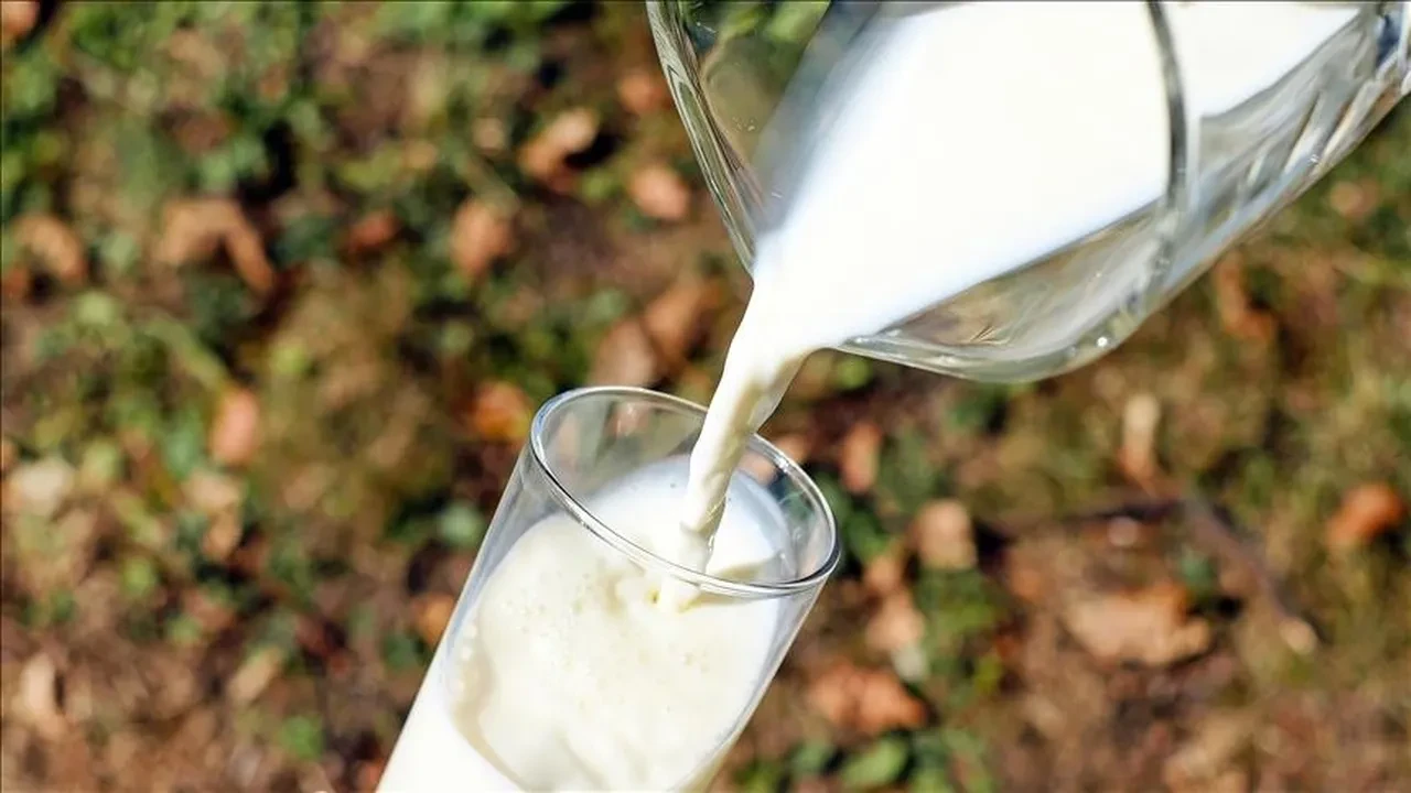 Bakanlık düğmeye bastı: Süt etiketlerinde yeni dönem