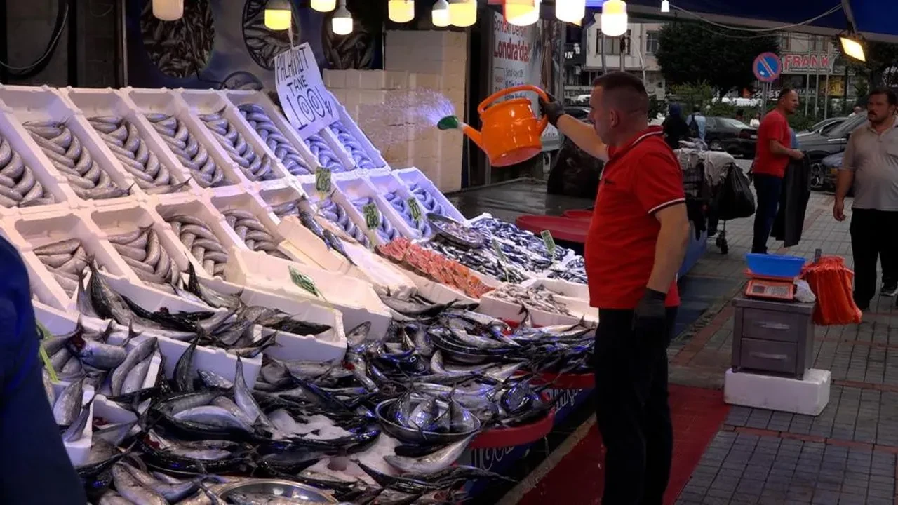 Fiyatlar 50 TL'ye kadar düştü! Tezgahta palamut ve hamsi bolluğu