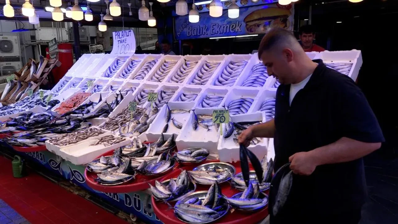 Fiyatlar 50 TL'ye kadar düştü! Tezgahta palamut ve hamsi bolluğu