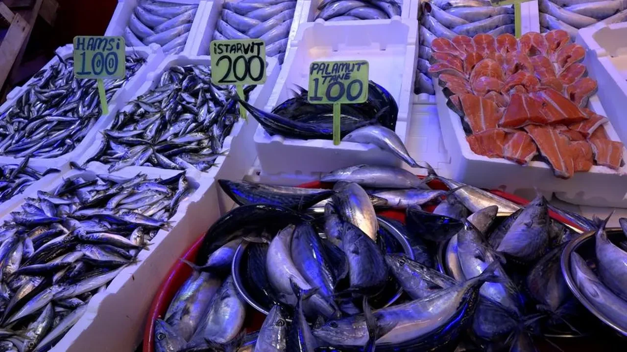 Fiyatlar 50 TL'ye kadar düştü! Tezgahta palamut ve hamsi bolluğu