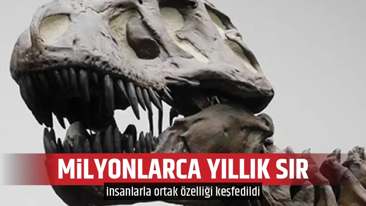 MİLYONLARCA YILLIK SIR