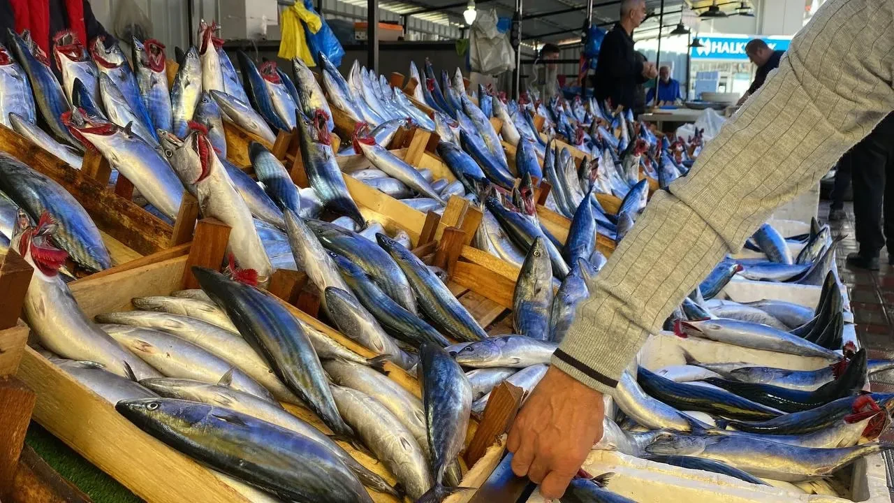 Görenler dönüp bir daha baktı! Tezgahtaki dev balıkla fotoğraf çektirmek için herkes sıraya girdi