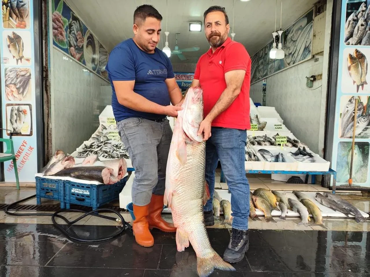 Görenler dönüp bir daha baktı! Tezgahtaki dev balıkla fotoğraf çektirmek için herkes sıraya girdi