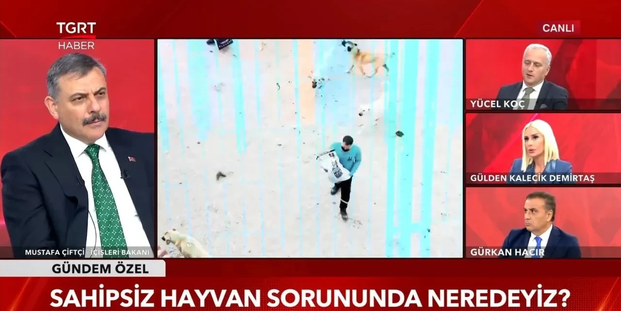 İçişleri Bakanı Mustafa Çiftçi başıboş köpekler için tarih verdi: Ekim ayı sonunda 81 ilde tamamlanacak