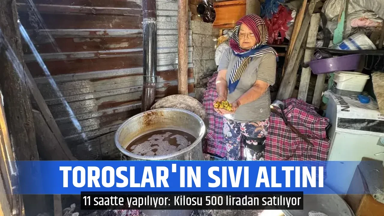 TOROSLAR'IN SIVI ALTINI 