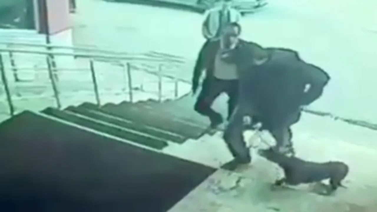 Palandöken Kaymakamı’nın köpeğe tekme attığı ve korumasının silah çektiği iddialarına soruşturma