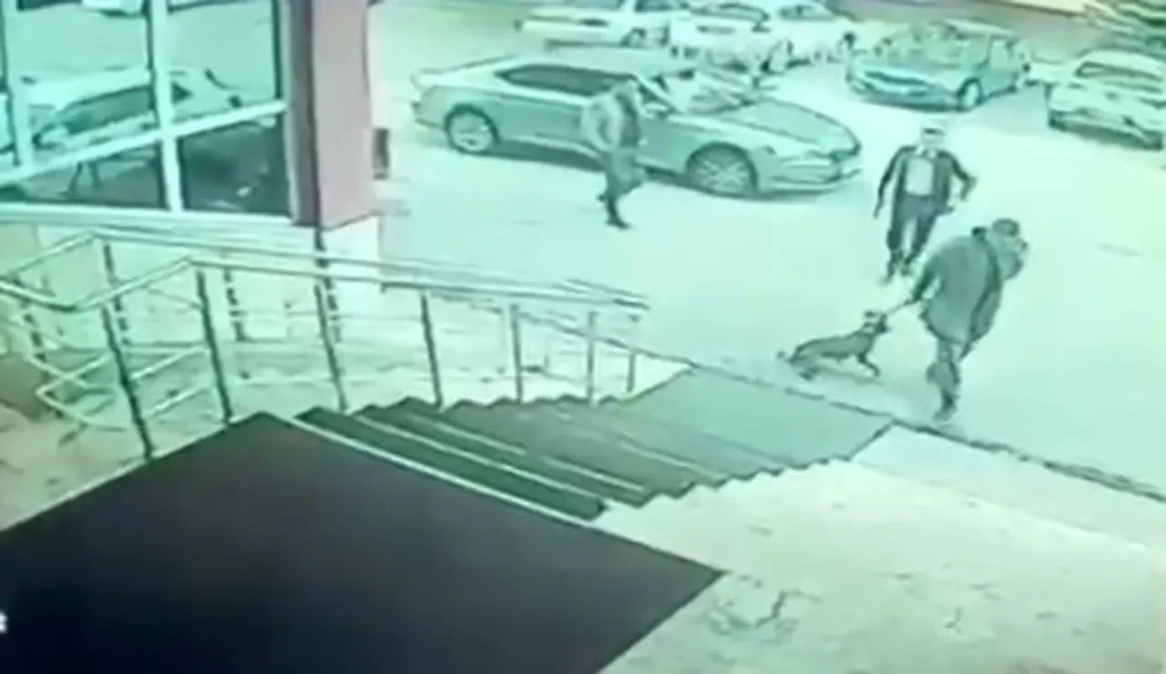 Palandöken Kaymakamı’nın köpeğe tekme attığı ve korumasının silah çektiği iddialarına soruşturma