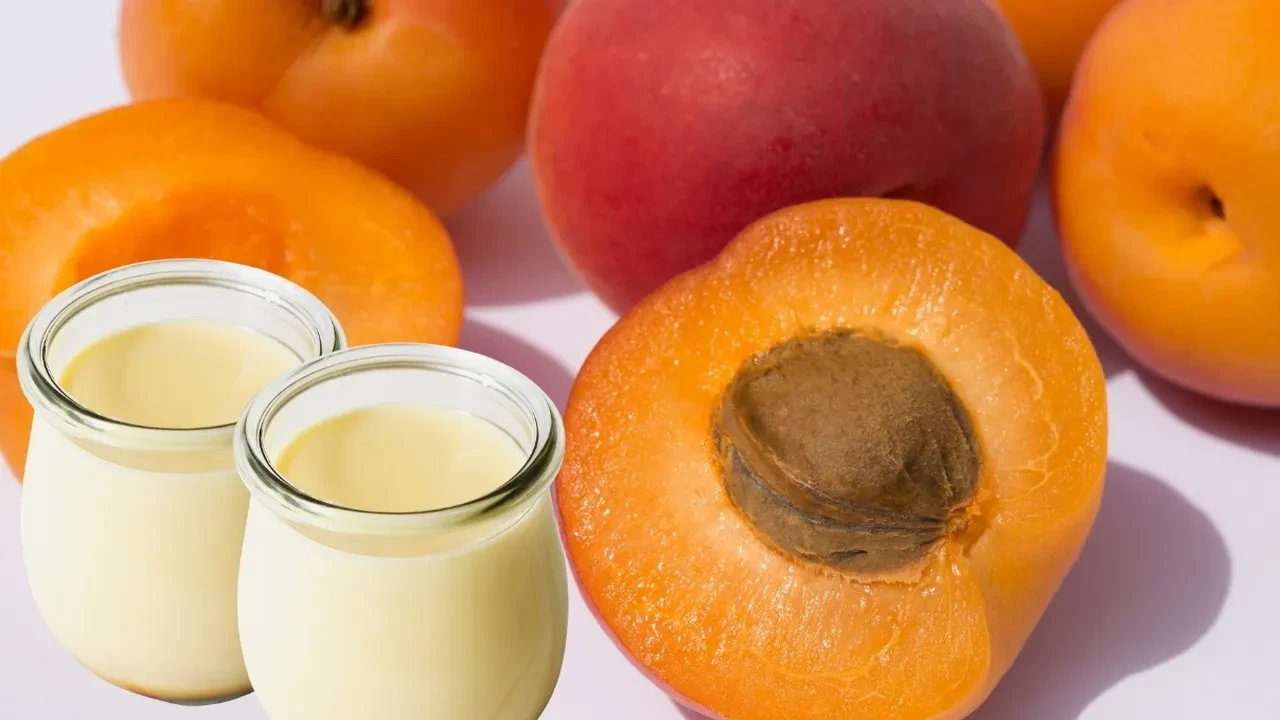 Sadece 2 malzemeli diyet puding! Sindirim problemimi çözdü