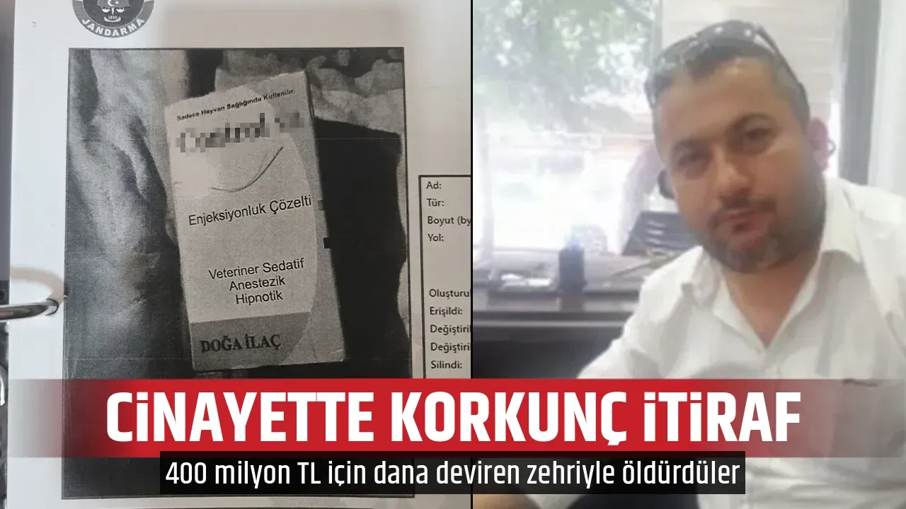 CİNAYETTE KORKUNÇ İTİRAF