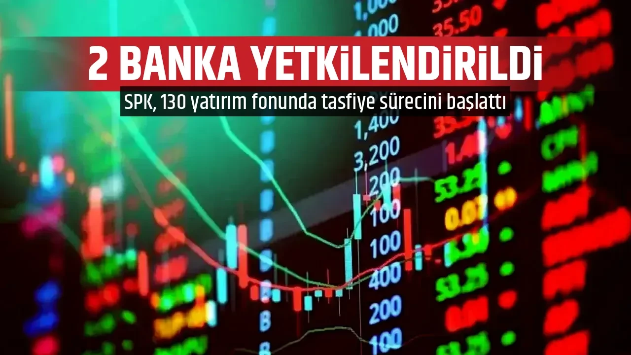 2 BANKA YETKİLENDİRİLDİ