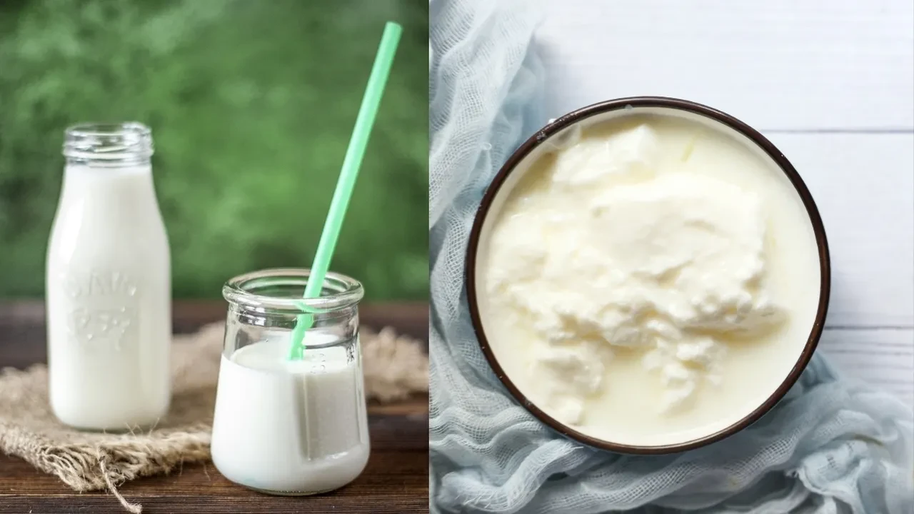 Tavada mayasız ekmek nasıl yapılır? Mayasız ekmek yoğurtla mı sütle mi yapılır?