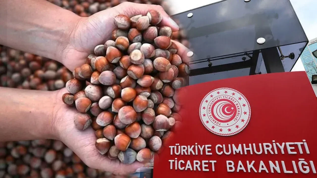 Ticaret Bakanlığı'ndan fındık piyasasına müfettiş hamlesi: Giresun ve Ordu'da denetim başlatıldı