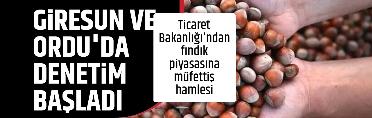 GİRESUN VE ORDU'DA DENETİM BAŞLADI