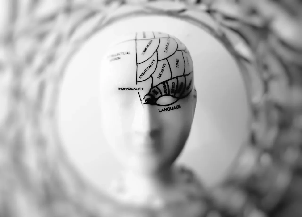 Bilim insanları insan beyninde 'beklenmedik bir yapı' keşfetti! Aslında tek organ değilmiş