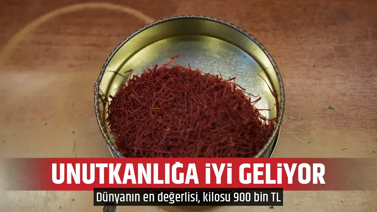 UNUTKANLIĞA İYİ GELİYOR