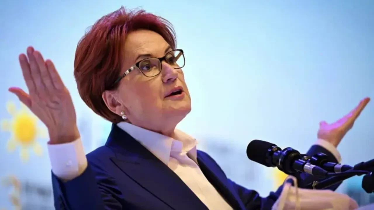 Meral Akşener Vakfı resmen kuruldu: İşte logosu ve amacı