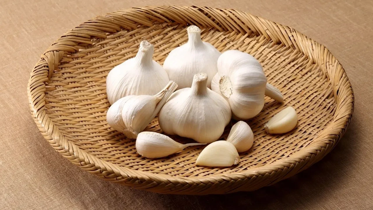 Kokuyu bir kenara bırakın! Sarımsak çorbası tam bir şifa kaynağı, baş ağrısını bitiriyor 