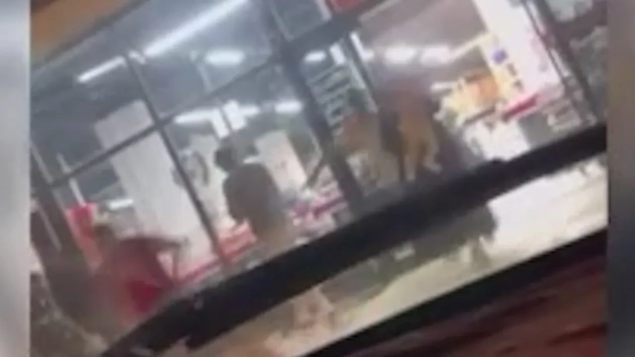 Markette çığlık çığlığa anlar! Alışveriş için gittiler dehşeti yaşadılar: İşte o anlar