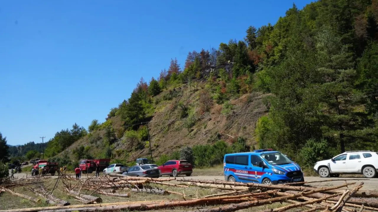 Ormanda feci ölüm! Önce elektrik çarptı sonra alevlerin içinde kaldı
