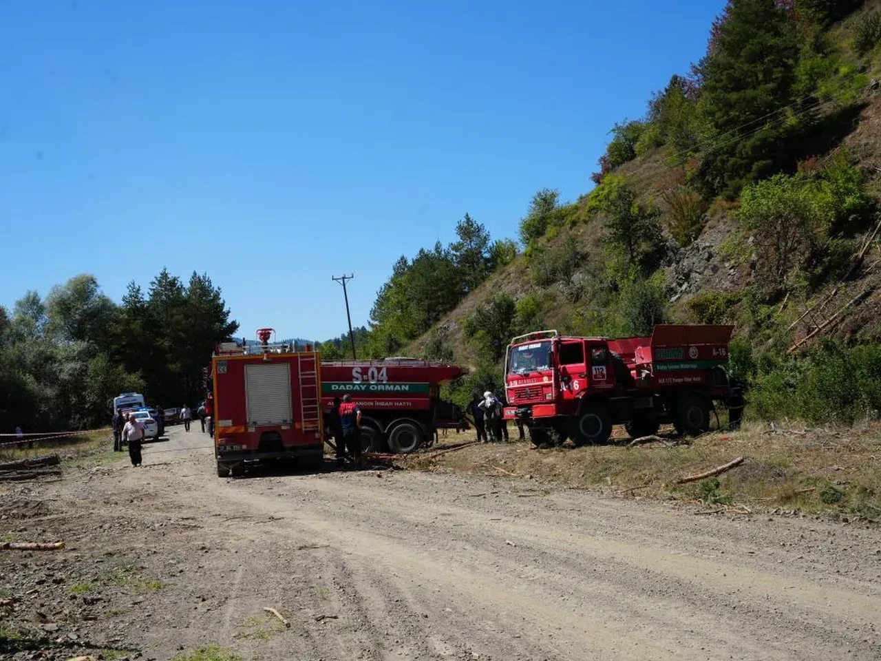 Ormanda feci ölüm! Önce elektrik çarptı sonra alevlerin içinde kaldı