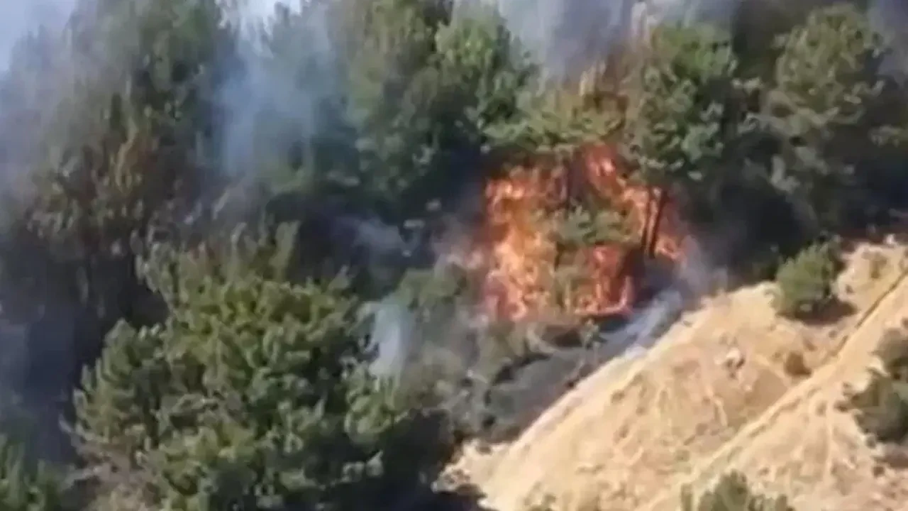 Balıkesir'de orman yangını! Alevlere müdahale sürüyor