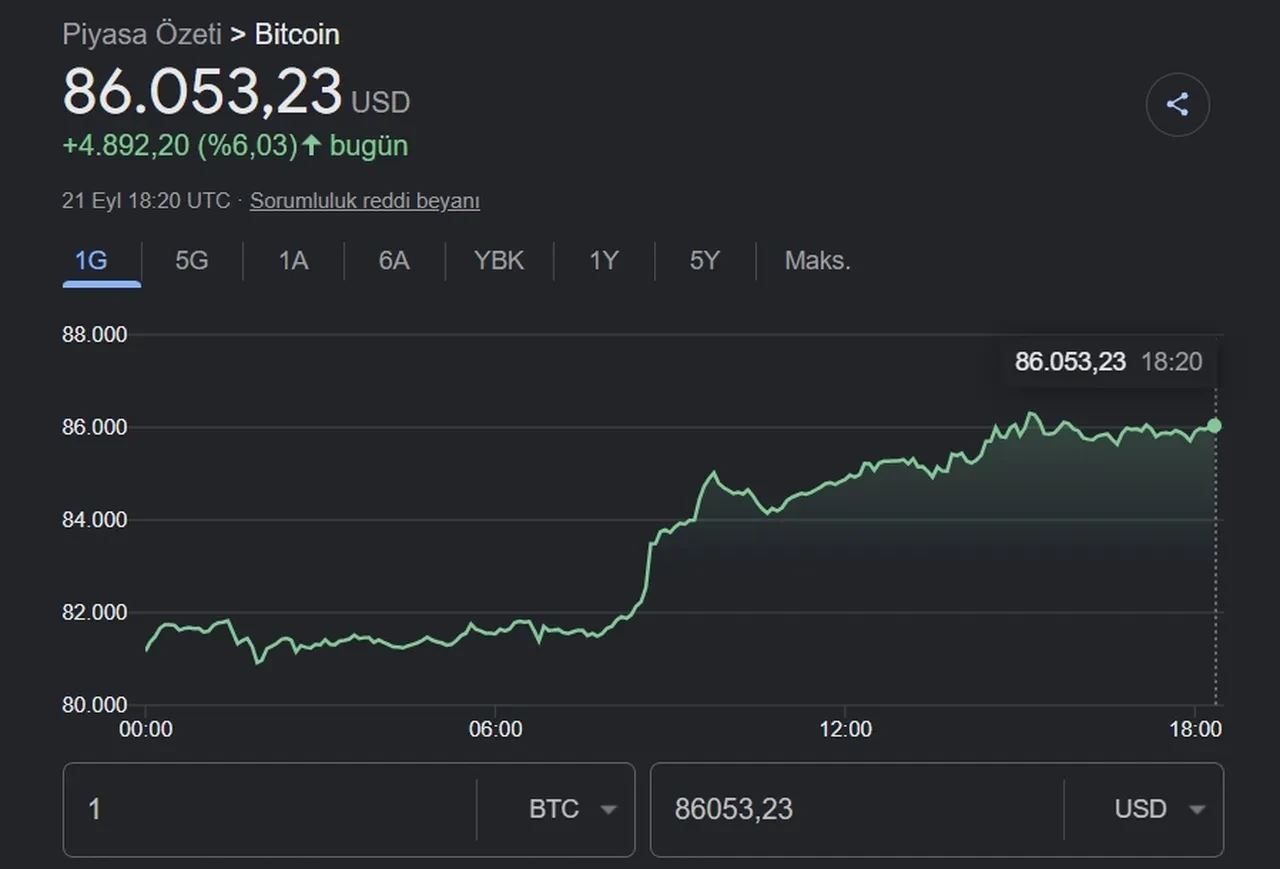 Bitcoin neden yükseliyor? Son Dakika BTC 100 bin dolar olur mu?